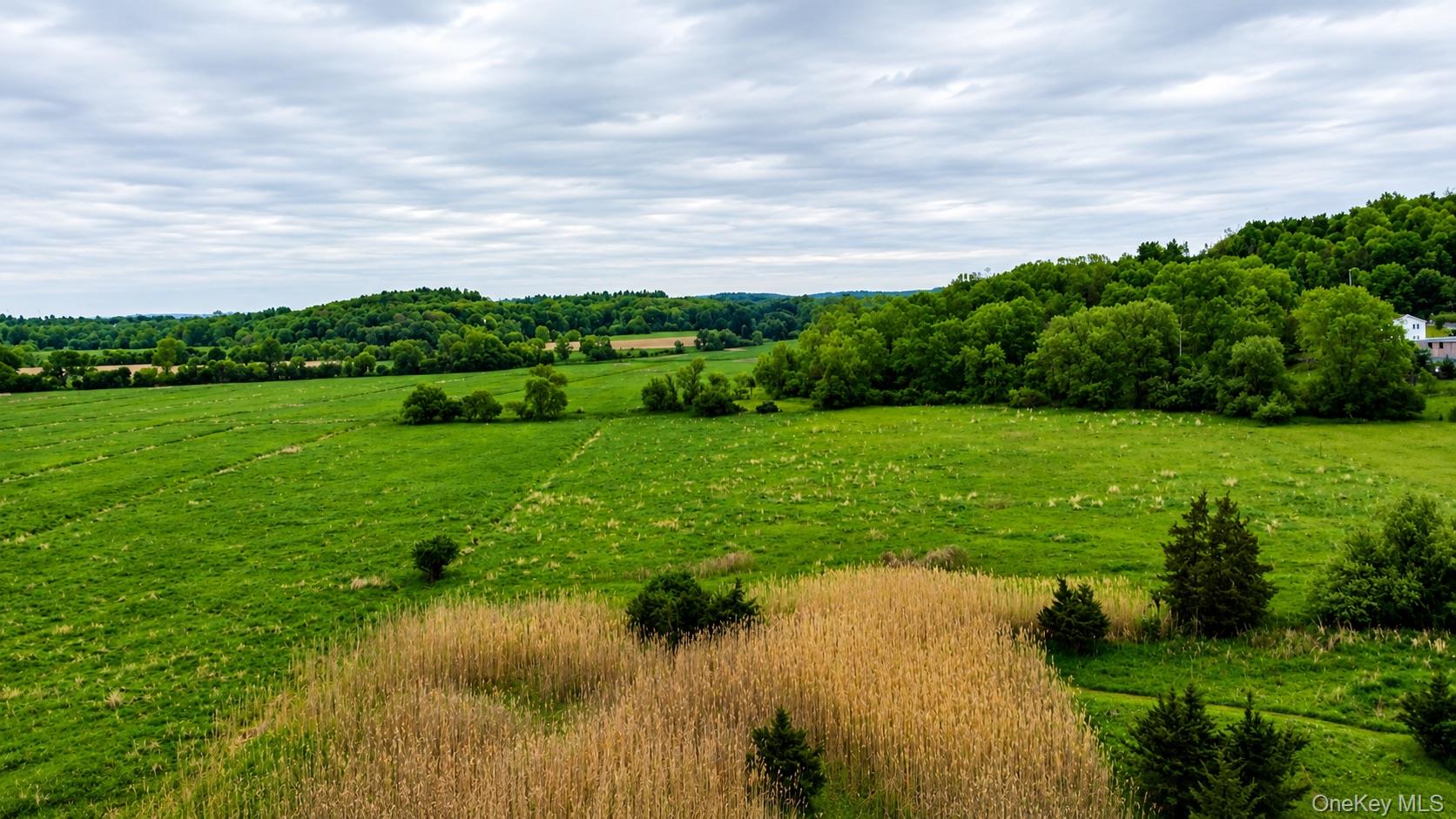 Land in Chester Town 4