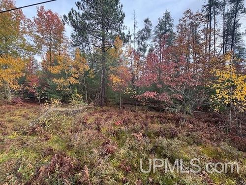 1.38A E Johnson Lake Road, Gwinn, MI, 49841 | Card Image