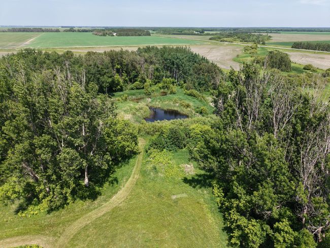 dji_fly_20250614_140508_0034_1750250999997_photo.jpeg | Image 5