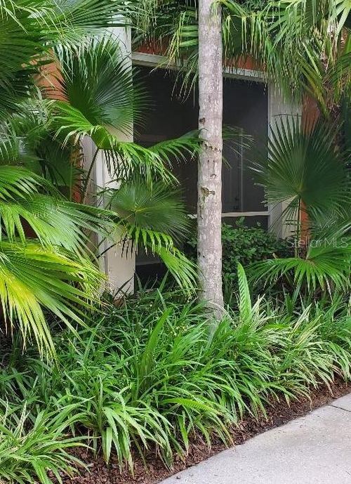 5109-4207 S Dale Mabry Highway S, TAMPA, FL, 33611 | Card Image