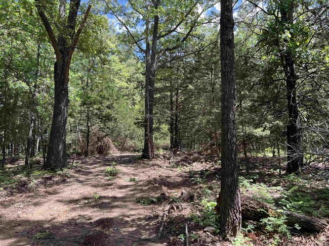 1 Eclipse Rd, Home with 0 bedrooms, 0 bathrooms and null parking in Saint Joe AR | Image 20