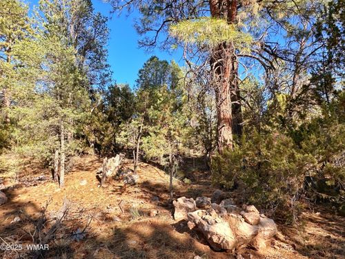 3377 Mogollon Dr, Overgaard, AZ, 85933-5039 | Card Image
