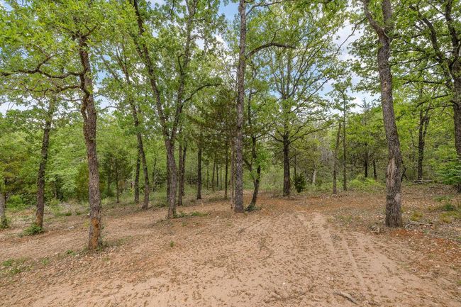 View of nature featuring a wooded view | Image 10