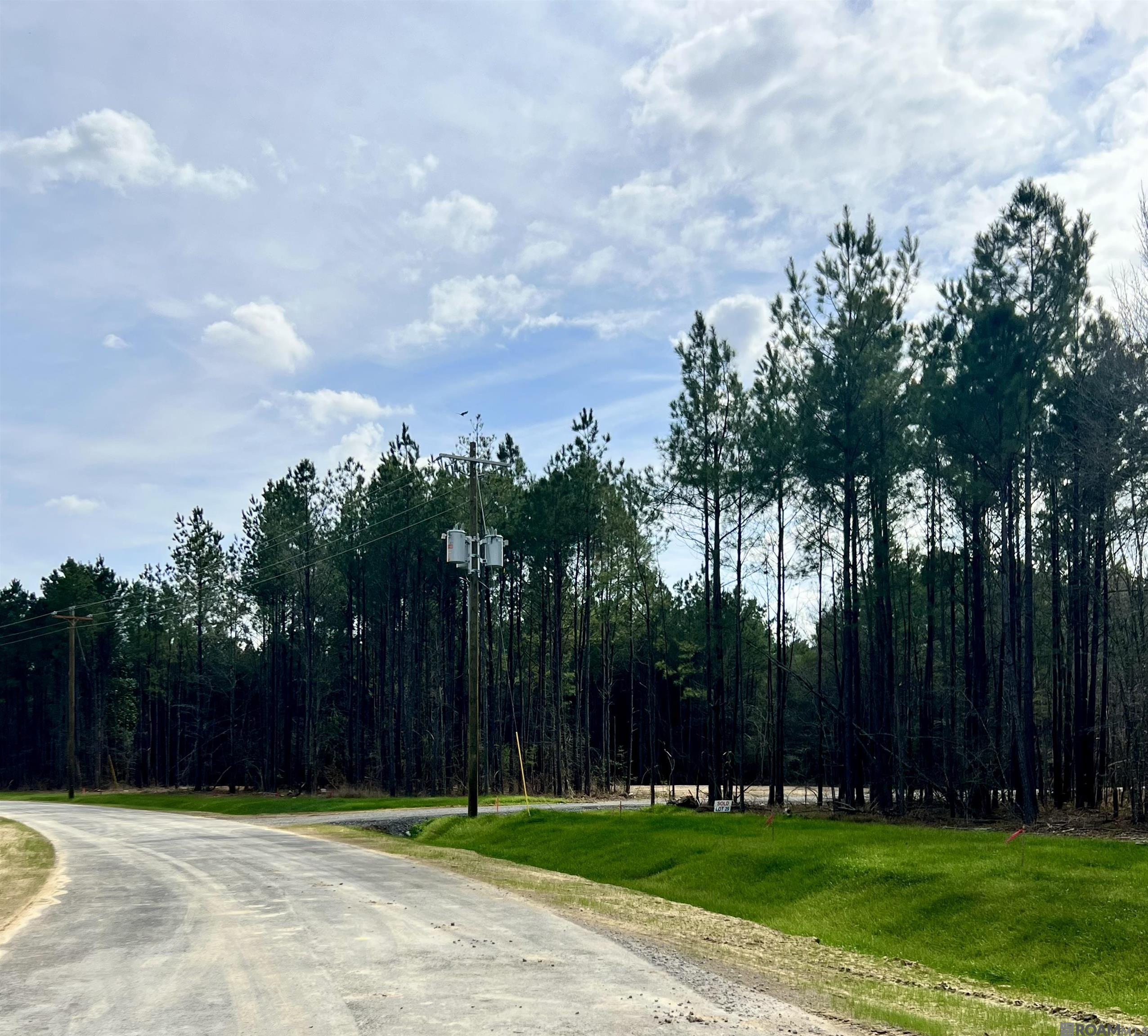 Land in Livingston 5