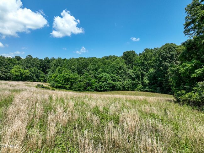 133 Devault Bridge Rd, Home with 0 bedrooms, 0 bathrooms and null parking in Piney Flats TN | Image 7
