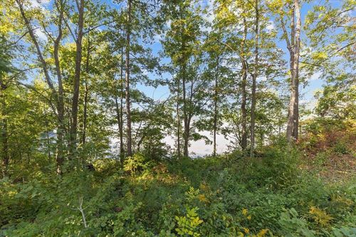 220 Delong Lane, Shoreham, VT, 05734 | Card Image
