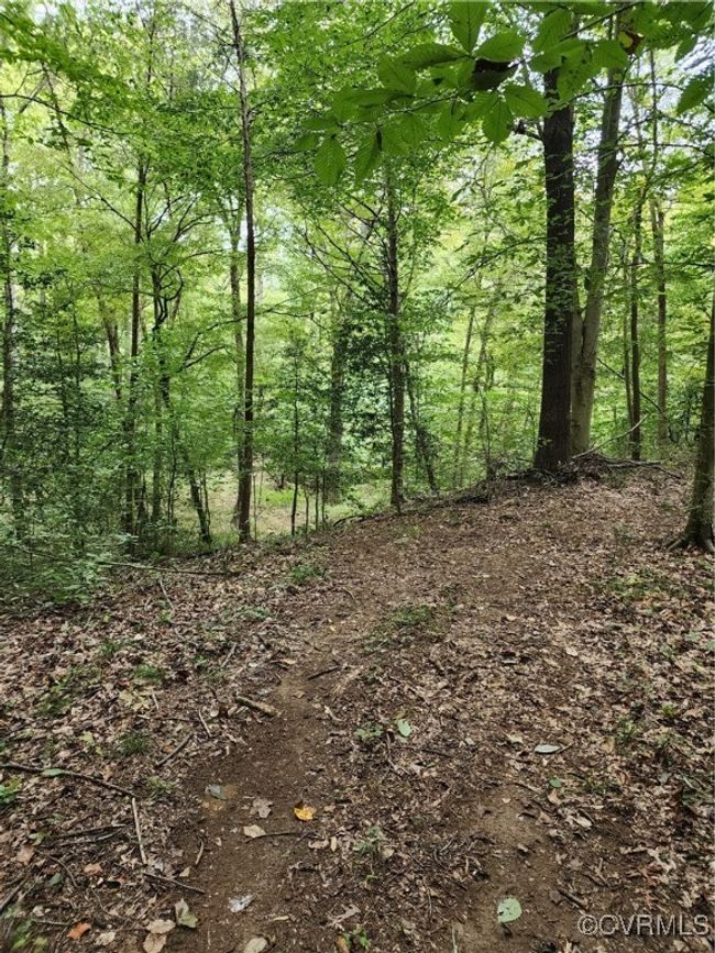 View of nature | Image 6