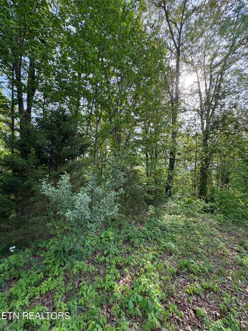 lot 169 Saddle Ridge Dr, Speedwell, TN, 37870 | Card Image