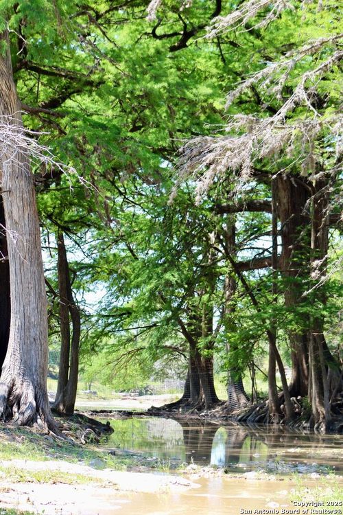 149 Bloodhound Trl, Sisterdale, TX, 78006-7338 | Card Image