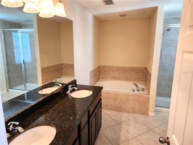 Master Bathroom | Image 11