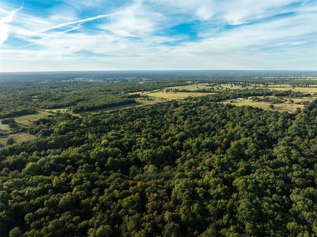 Drone / aerial view with a wooded view | Image 21