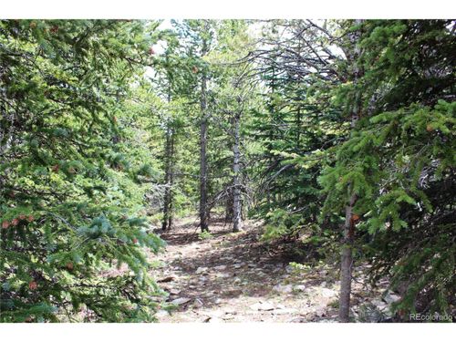 5285 Lucy Agnes, Black Hawk, CO, 80422 | Card Image