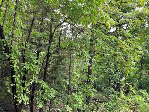 000 Highway 63 S, Mammoth Spring, AR, 72554 | Card Image