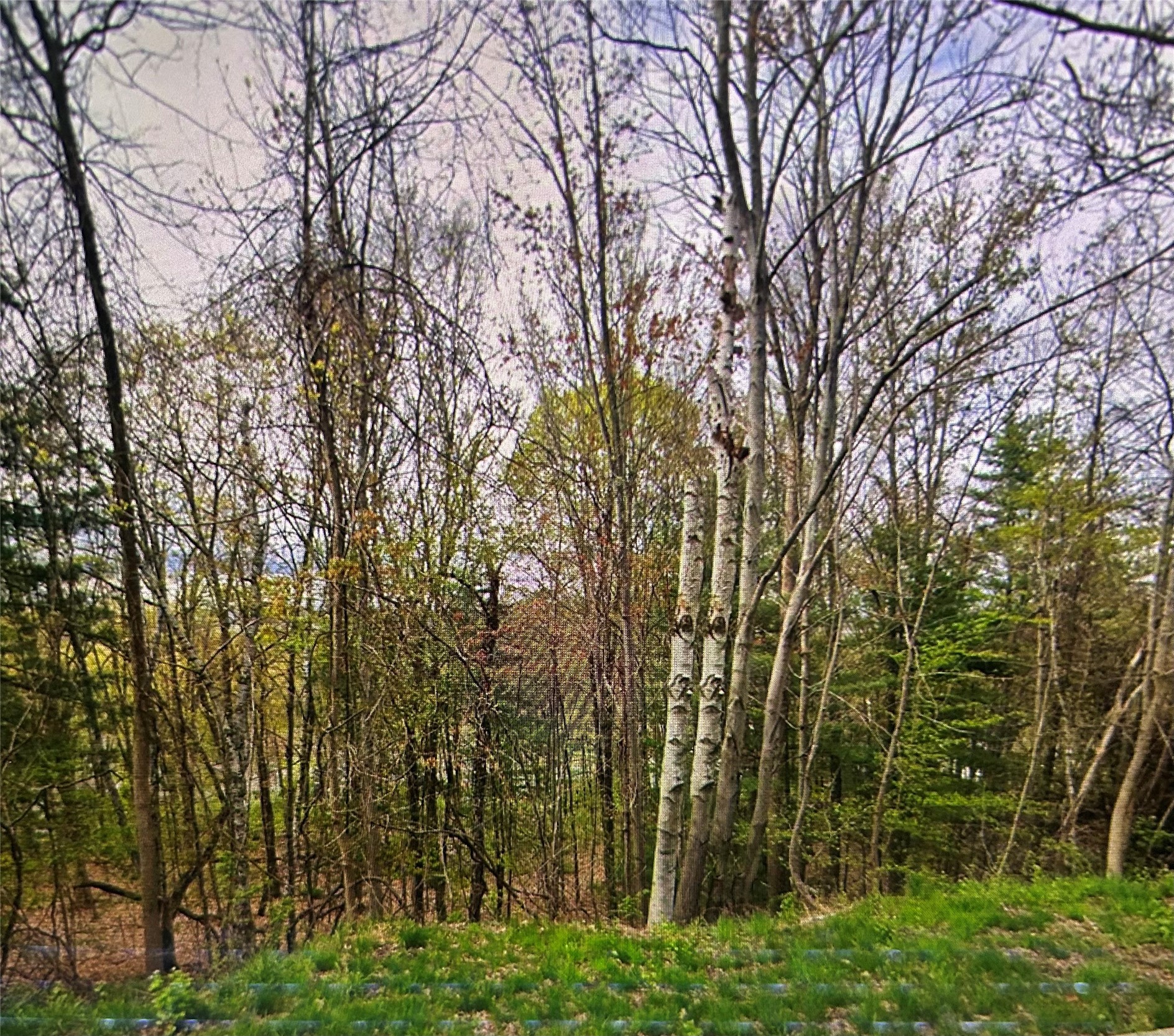 Land in Binghamton 4