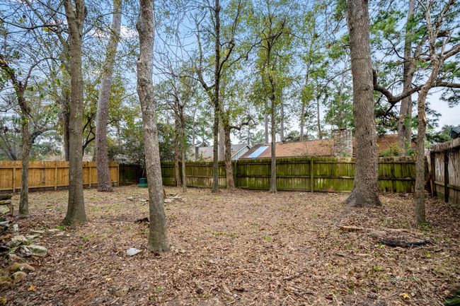Massive backyard for all activities | Image 19