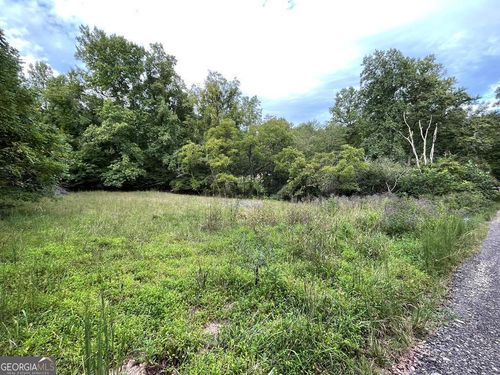 Lot 9 Sharons Blf, Hayesville, NC, 28904 | Card Image