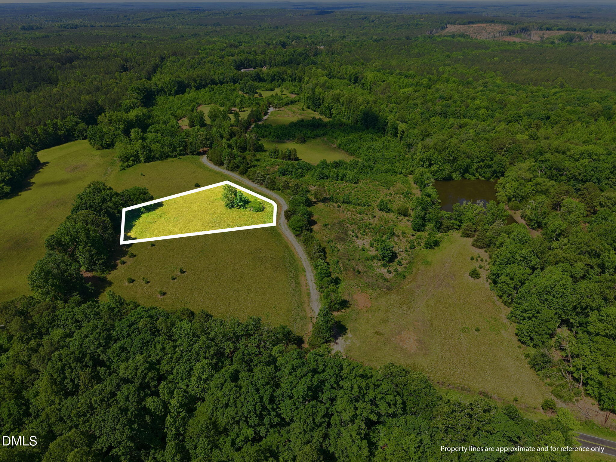 Land in Bullock 3