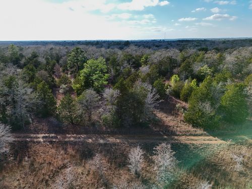 Lot 11 Antioch Road, Paige, TX, 78659 | Card Image