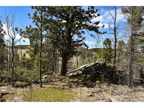 289 Timberline Dr, Guffey, CO, 80820 | Card Image