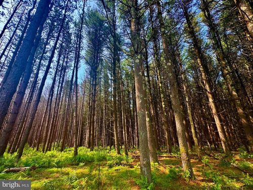 TBD Compressor Station Rd, Bruceton Mills, WV, 26525 | Card Image