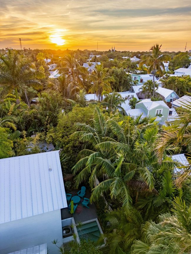 Lush Tropical Surroundings | Image 37