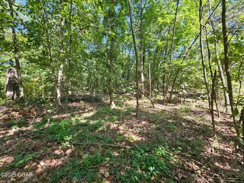 65 Plainview Road, Anderson, MO, 64831 | Card Image