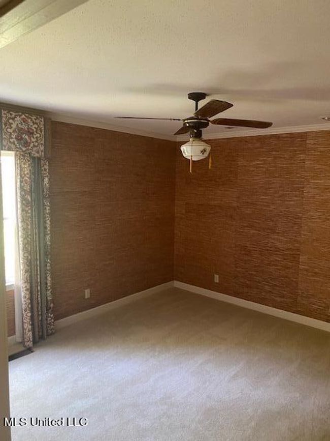 6 Cypress Creek BR | Image 13
