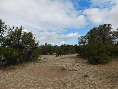 174 Agua Fria Loop, Quemado, NM, 87829-0029 | Card Image