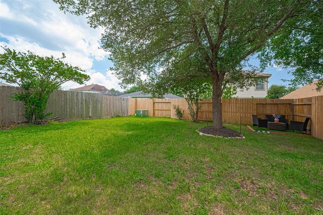 The Backyard | Image 43