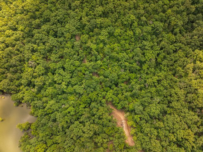DJI_20250710122927_0150_D | Image 25