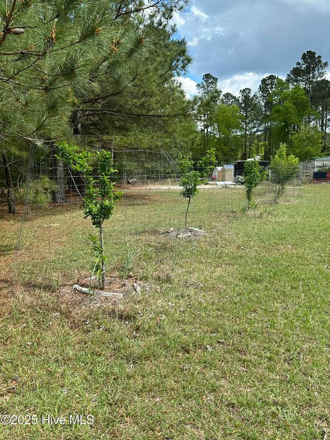 277 Short Rd, House other with 1 bedrooms, 1 bathrooms and null parking in Carthage NC | Image 30