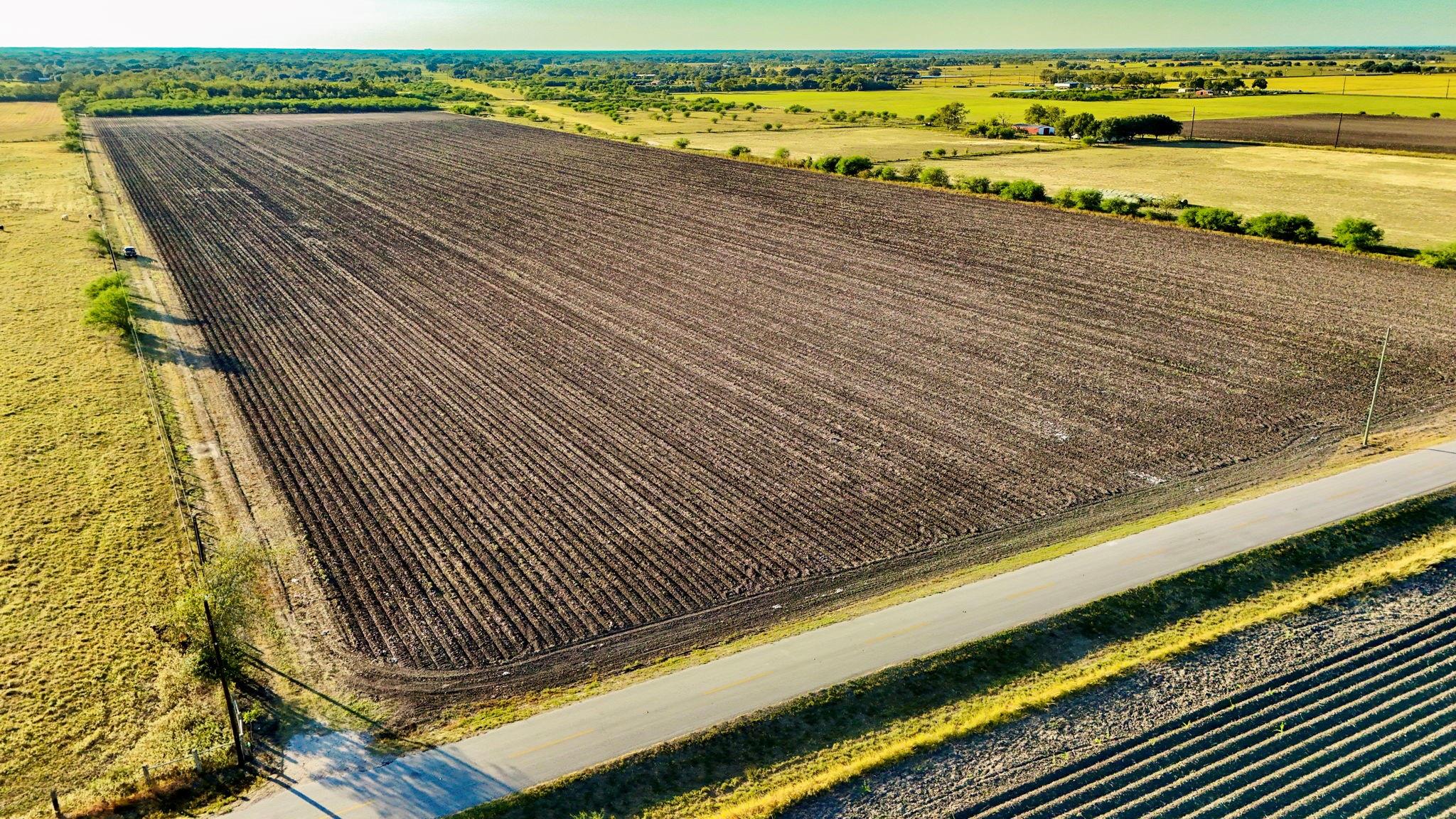 Farm in East Bernard 2