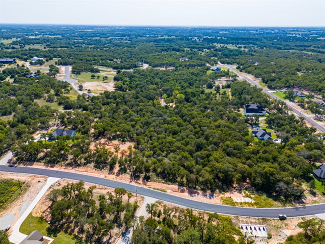 Bird's eye view of a forest | Image 12