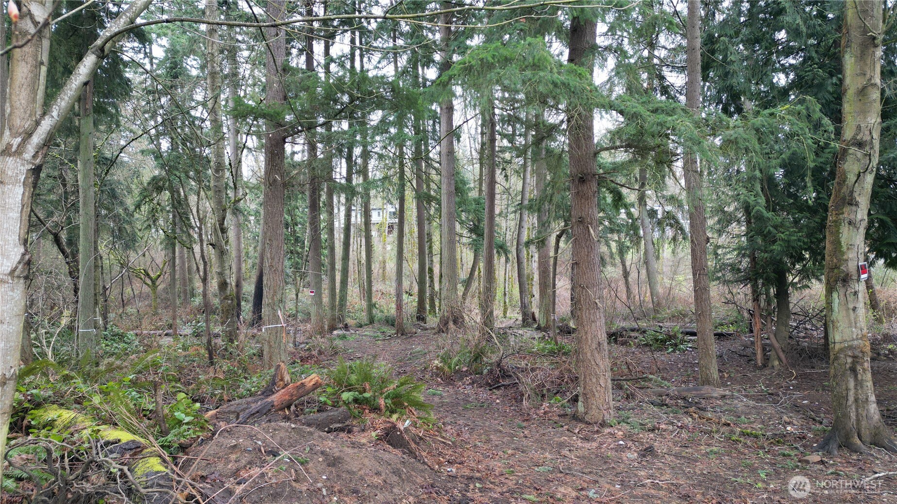 Land in Federal Way 4