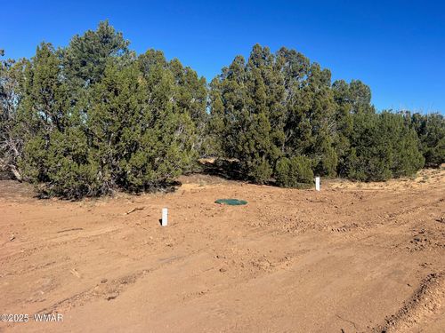 96 Cr3041, Concho, AZ, 85924 | Card Image