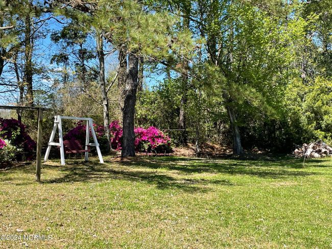 Right side yard | Image 8