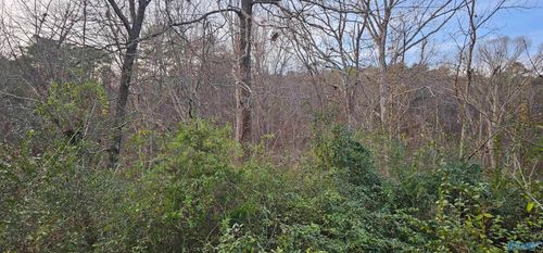 .37+/- Lot Park Rd Sw, Fort Payne, AL, 35967 | Card Image
