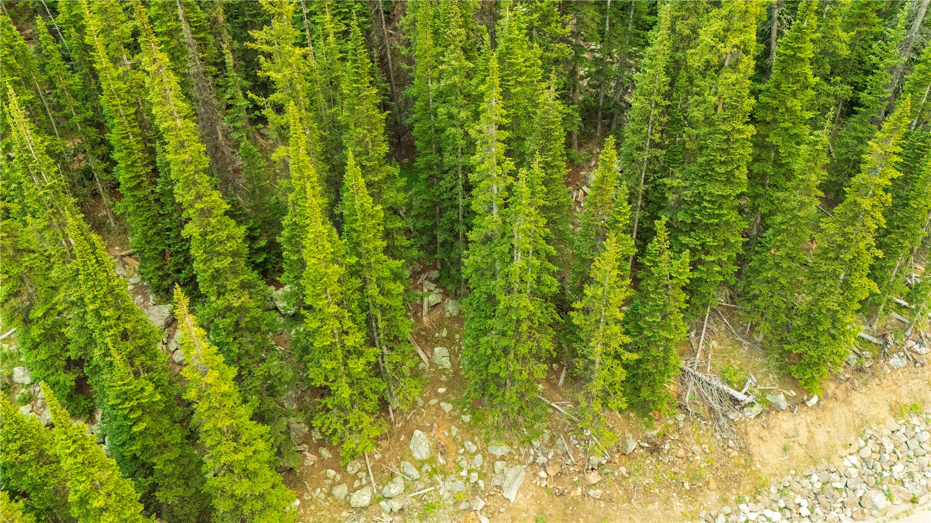 Land in Breckenridge 5