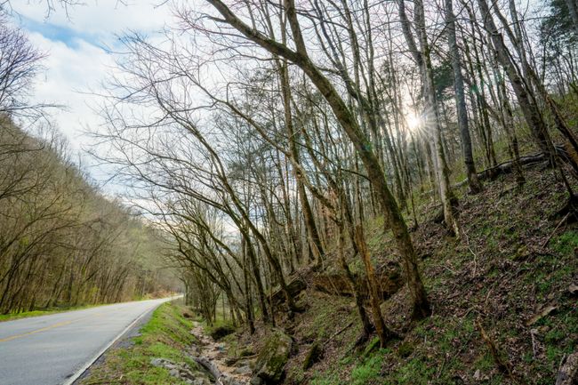 1438 Wartrace Rd, Home with 0 bedrooms, 0 bathrooms and null parking in Red Boiling Springs TN | Image 10