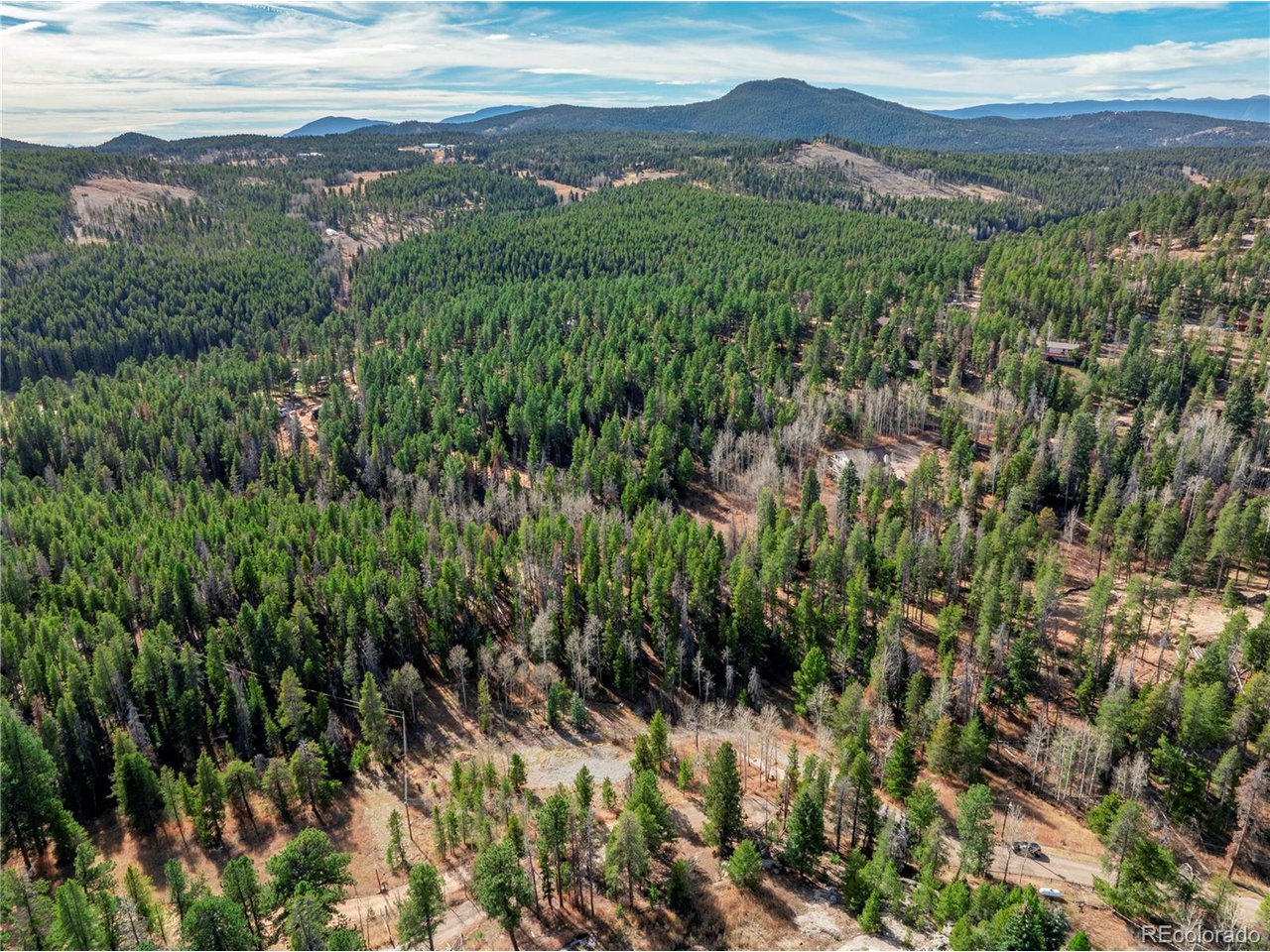 Land in Conifer 5