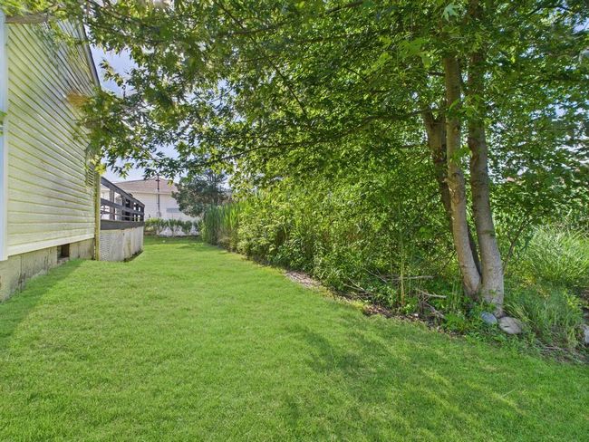 View of grassy yard | Image 36