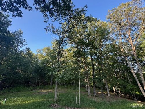 190 Steeple Point Dr. Lot #6 Drive, Defiance, MO, 63341 | Card Image