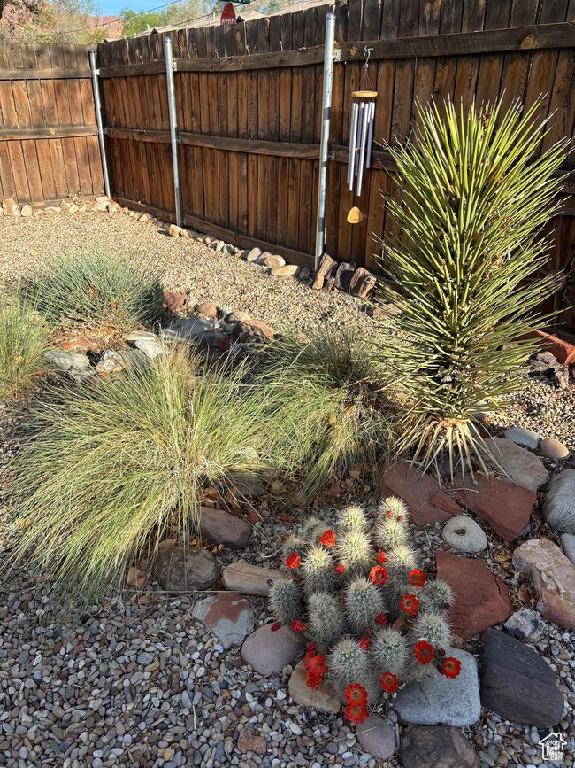 View of yard | Image 58