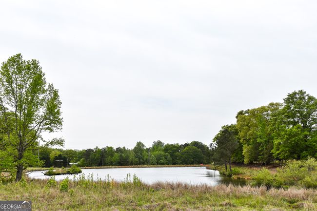387 Fredonia Church Rd, Home with 3 bedrooms, 2 bathrooms and 2 parking in BARNESVILLE GA | Image 38