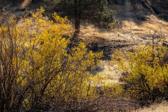 46459 Shaniko-Fossil Hwy RX_0211 copy | Image 52