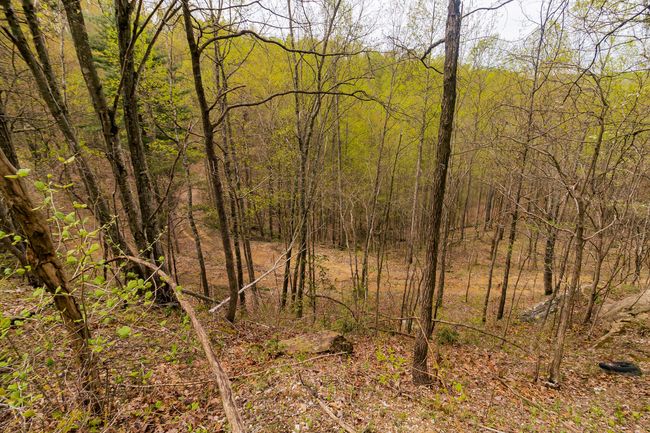 9999 Highway 52 E, Home with 0 bedrooms, 0 bathrooms and null parking in Beattyville KY | Image 14