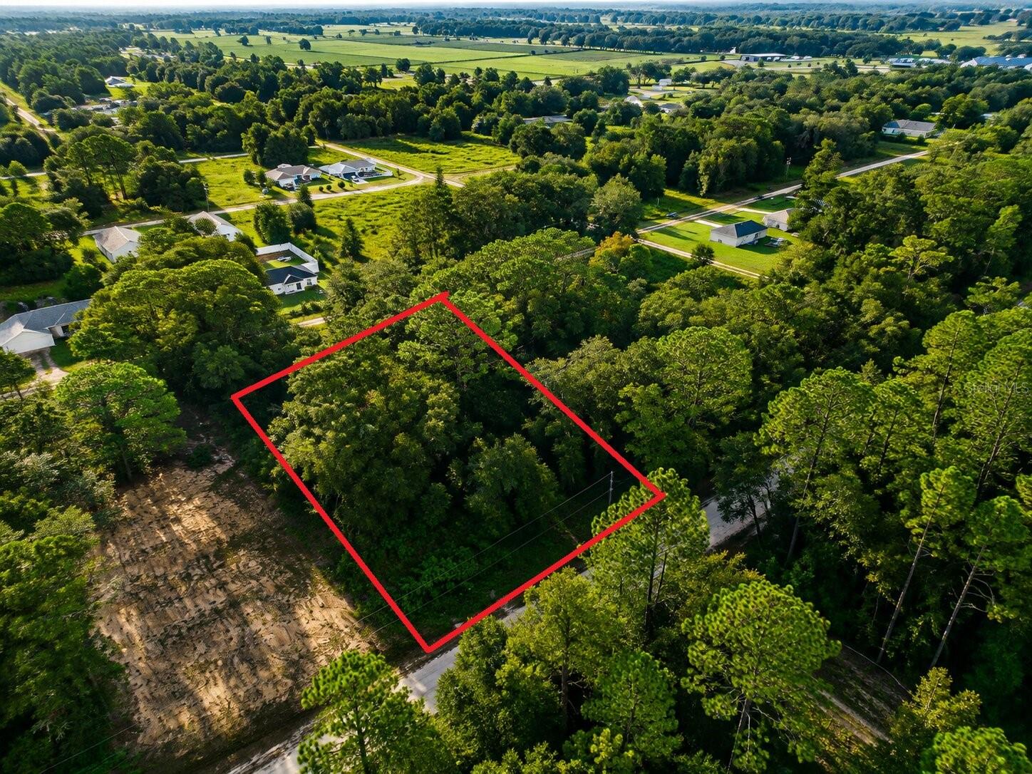 Land in OCALA