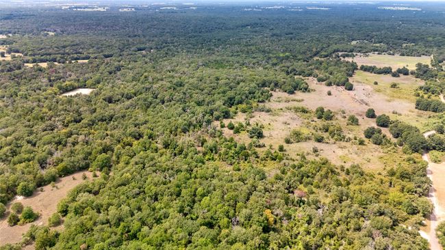 Drone / aerial view | Image 9