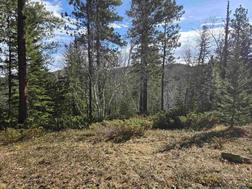 tbd-snowy-bluffs-road-TBD Other, lead, SD, 57754 | Card Image