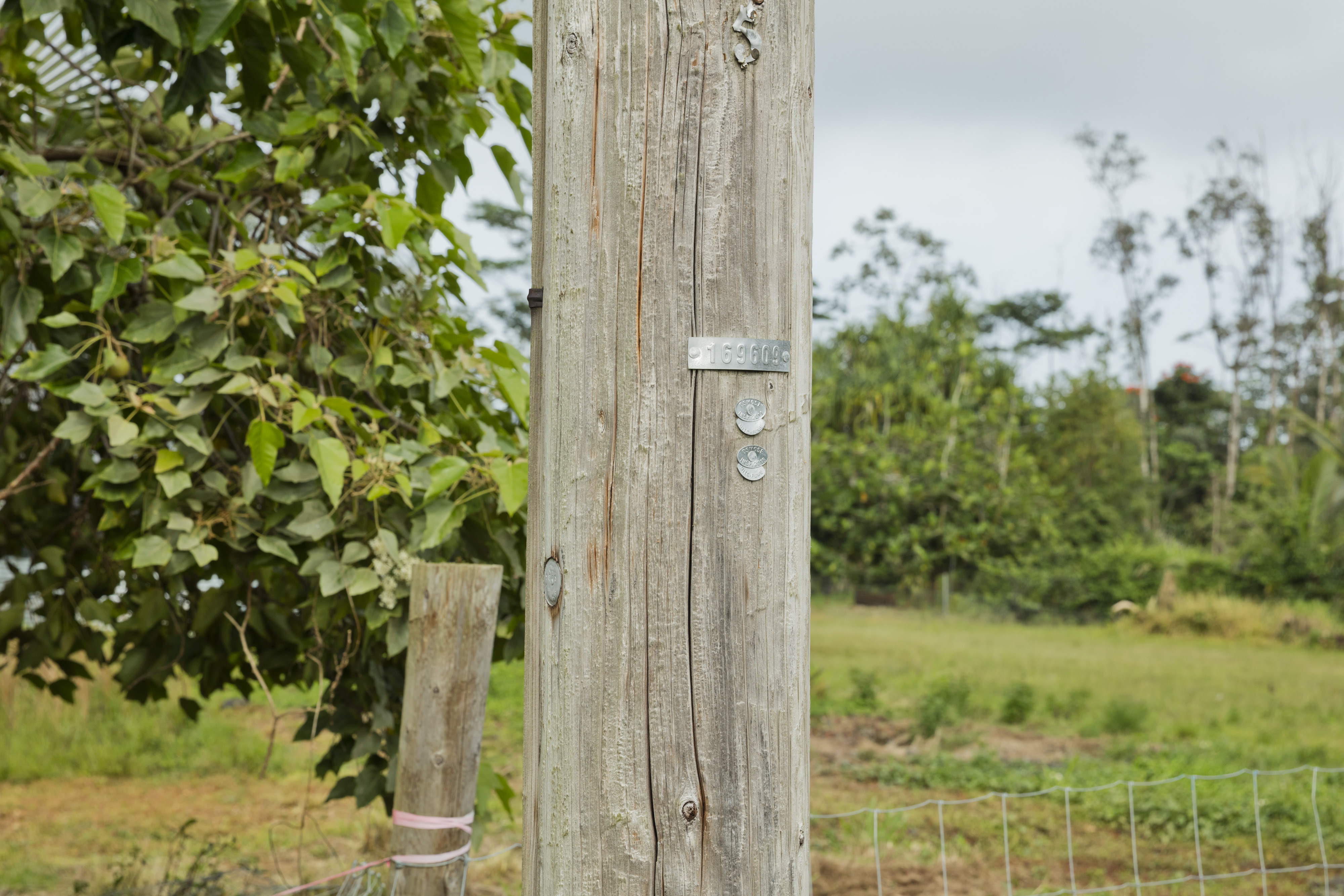 Land in Keaau 3